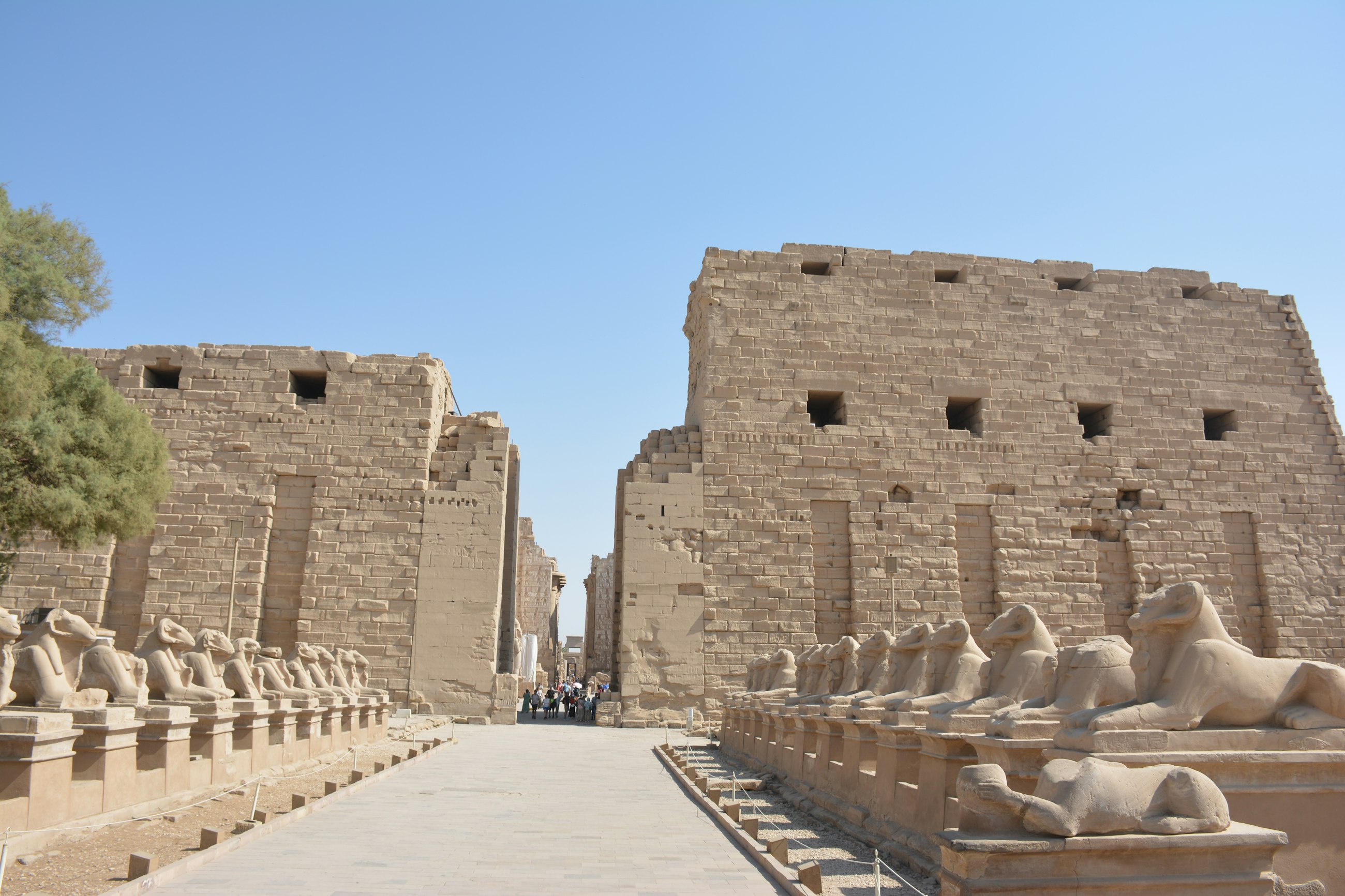 The avenue of sphinxes at the entrance to Luxor Temple